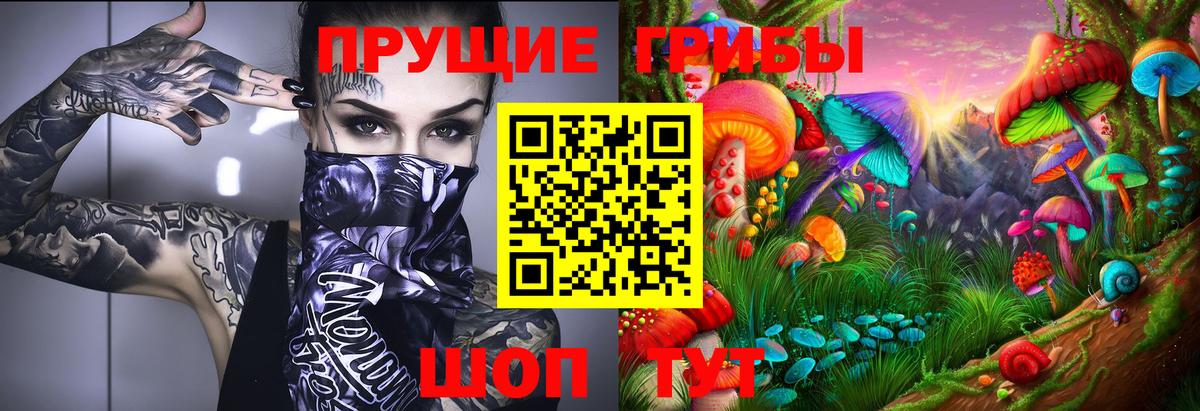 Галлюциногенные грибы Psilocybe Воткинск