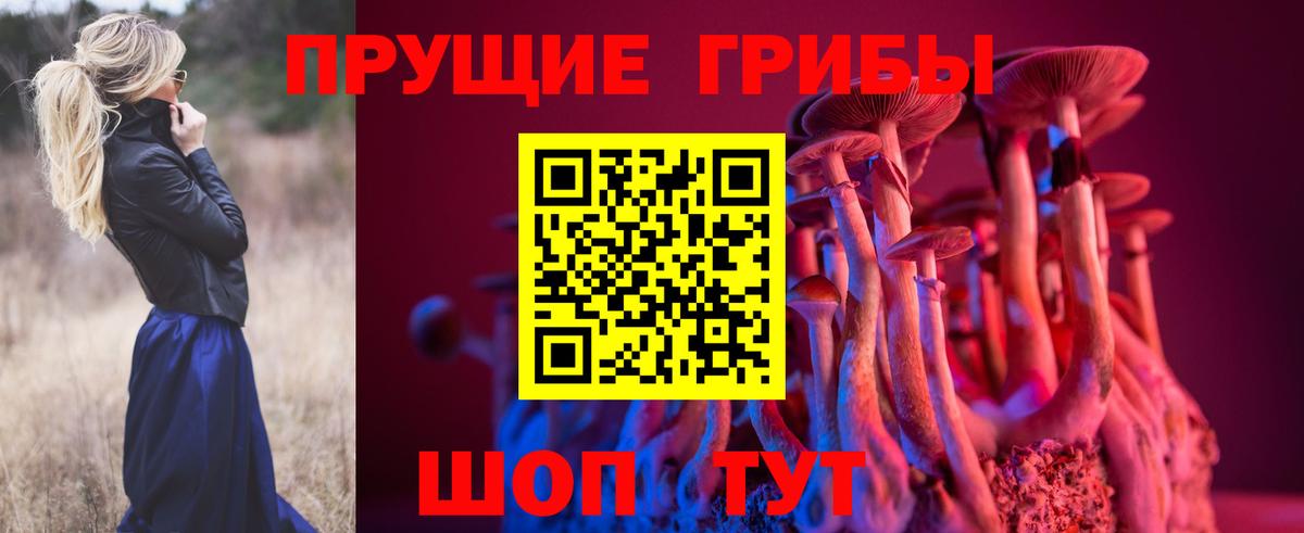 Галлюциногенные грибы Psilocybe  Вход с VPN  Воткинск  наркотики  Галлюциногенные грибы Cubensis 